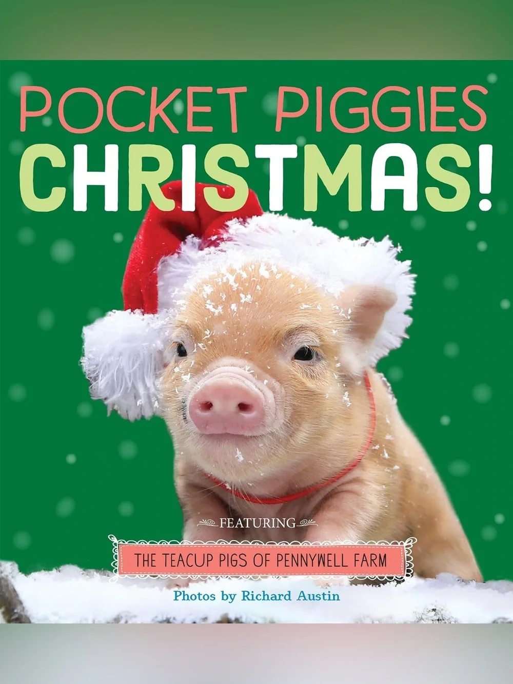 Pocket Piggies: Christmas! Board Book by Richard Austin